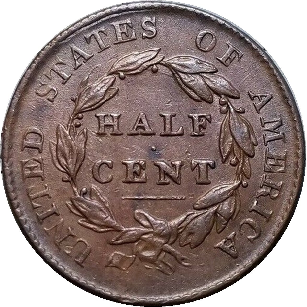 1825-1/2c-Classic-Head-Half-Cent-#2
